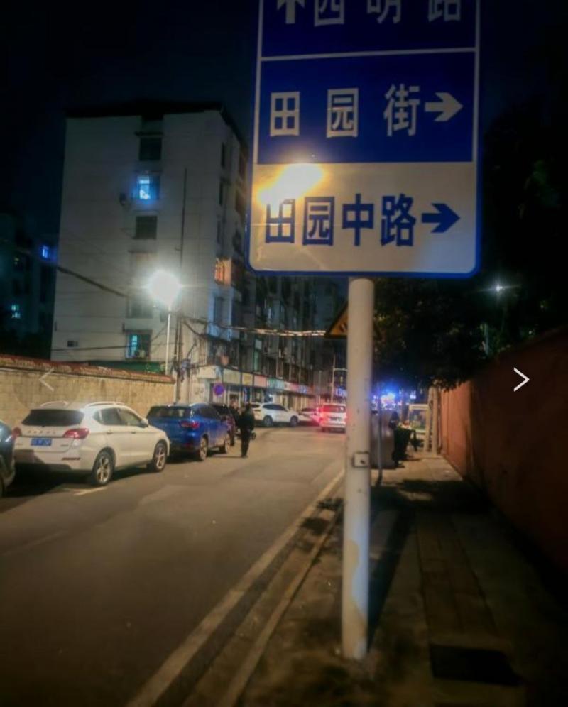 武汉 东西湖田园南路 一条街的